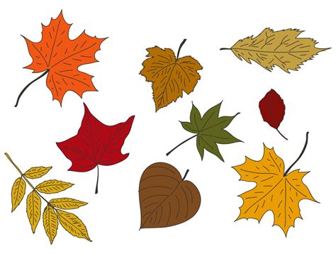 Fall Leaves Printable